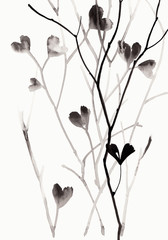 Ink illustration with branches and leaves isolated on white background.