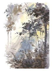 Watercolor hand painted abstract landscape, deep forest, threes in sunshine.