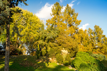 Fototapeta premium Colorfull italian park with trees and autumn colors