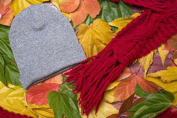 un bonnet gris et une écharpe rouge sur un tapis de feuilles mortes aux couleurs d'automne