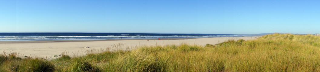 Panorama, Dune gras