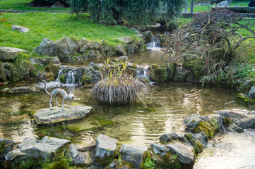 Colorfull italian park with trees and autumn colors and water