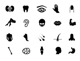 Human body vector icon set.