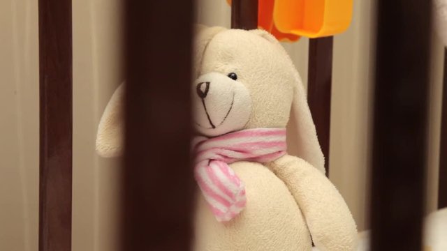 A wonderful Teddy bear in baby cot