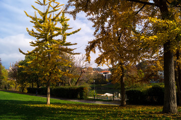 Fototapeta premium Colorfull italian park with trees and autumn colors
