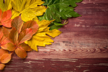 feuilles d'automne étalée sur l'angle d'une planche