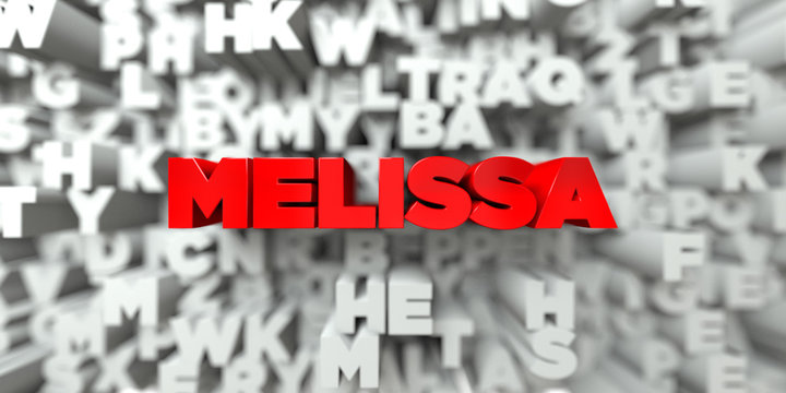MELISSA -  Red text on typography background - 3D rendered royalty free stock image. This image can be used for an online website banner ad or a print postcard.