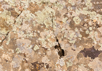 Fototapeta na wymiar rock stone as background