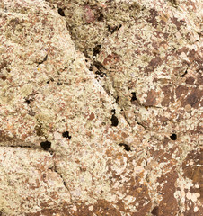 rock stone as background