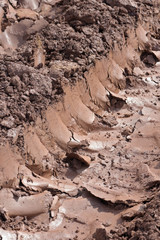 Tractor track marks in the mud