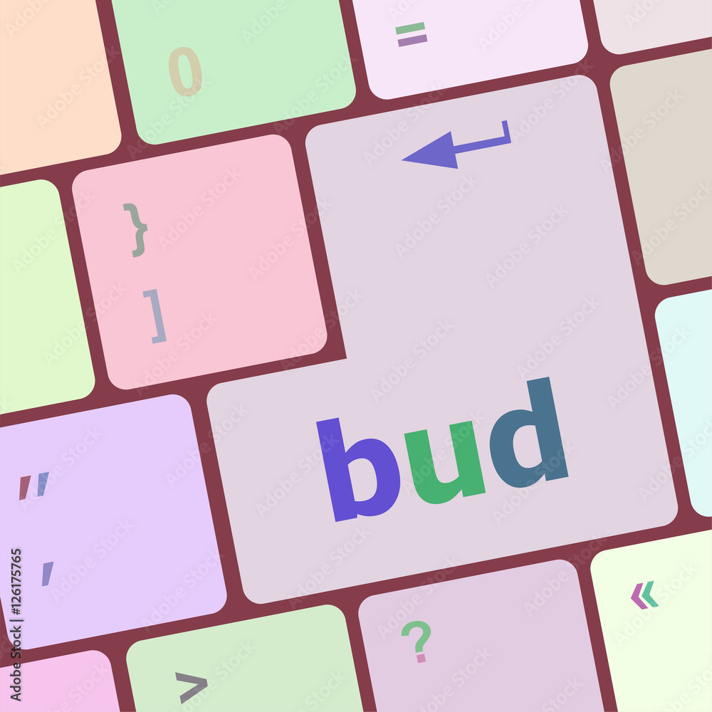Poster button with bud word on computer keyboard keys