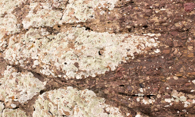 rock stone as background