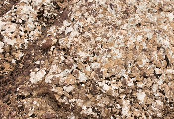 rock stone as background