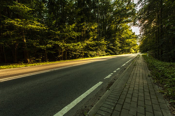 Fototapeta premium Asphalt road through the green forest