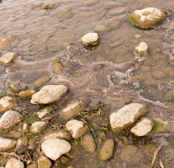 stones in the river in nature