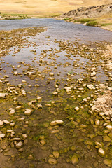 stones in the river in nature