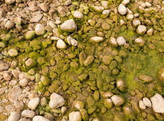 stones in the river in nature