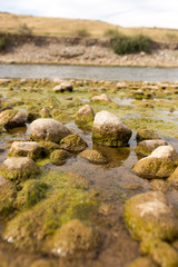 stones in the river in nature