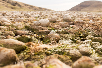 stones in the river in nature
