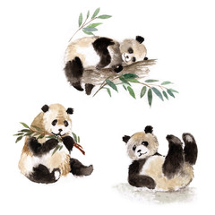 Obraz premium Zestaw pandy wielkie, akwarela
