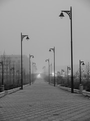 Fog lamps Street