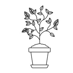 Plant inside pot icon. Gardening nature green and home theme. Isolated design. Vector illustration