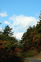 雪山と紅葉/初冠雪の北アルプスの山と紅葉の木々