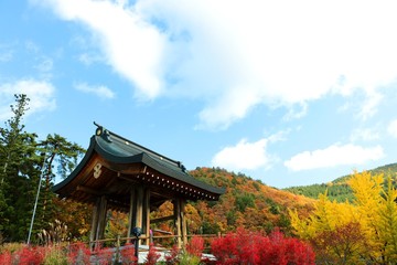 Fototapeta premium 秋のお寺/秋のお寺の鐘撞堂
