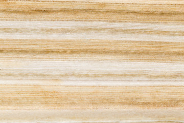 page of the old book as background. macro