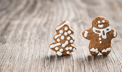 Tasty gingerbread cookie on wooden table
