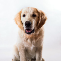 contorts face, sitting in the studio, white background