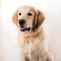 contorts face, sitting in the studio, white background