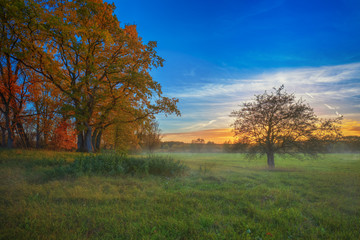 Farbenfrohe Herbstlandschaft