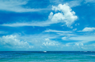 Fototapeta na wymiar Miami tropical beach and ocean