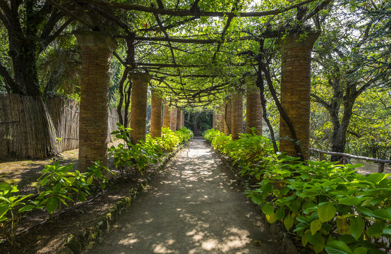 Covered Walk of Villa Cimbrone Gardens in Ravello Italy