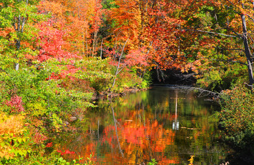 Small pond in New England in autumn time
