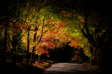 Fototapeta na wymiar Autumn landscape in Vermont
