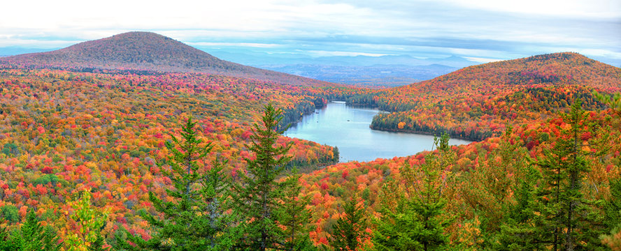 Fototapeta Panoramic view of Groton national forest in Vermont