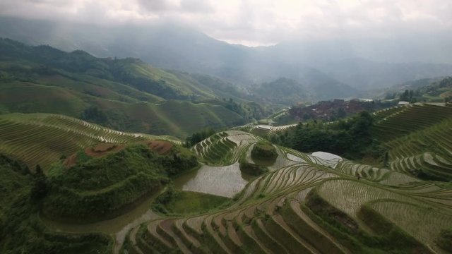 Aerial view of green rice terraces in Asia (China)
