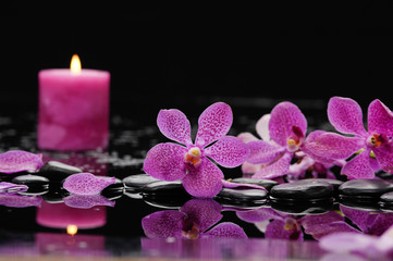 Obraz na płótnie Canvas still life with pink orchid and candle on black stones 