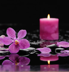 Fototapeta na wymiar still life with pink orchid and candle on black stones 
