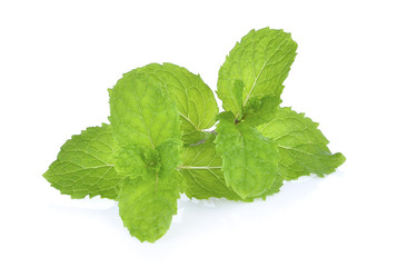 mint on white background