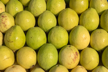 Las guayabas están ricas.