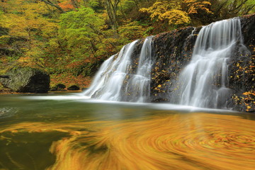 紅葉の一の滝