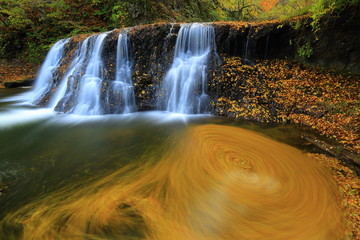 Fototapeta na wymiar 紅葉の一の滝