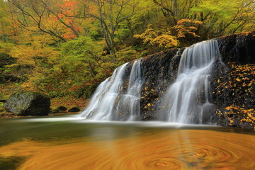 Fototapeta premium 紅葉の一の滝