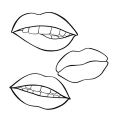 A set of lips on a white background. Lips on a white background.