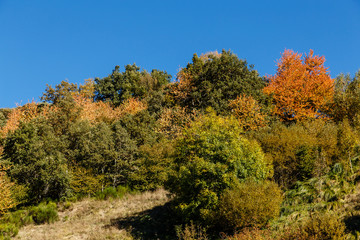 Fototapeta premium Autumn scenery in the mountains of Leitariegos, Asturias, Spain