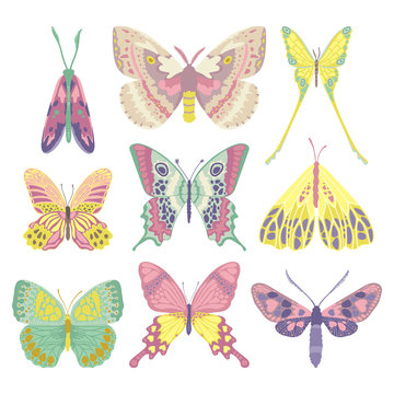Vector butterfly logo template, vector butterflys set