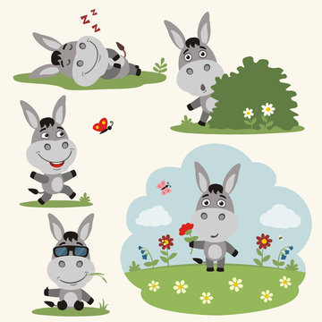 Vector set funny donkey in different poses on summer meadow with flowers. Collection donkey in cartoon style.